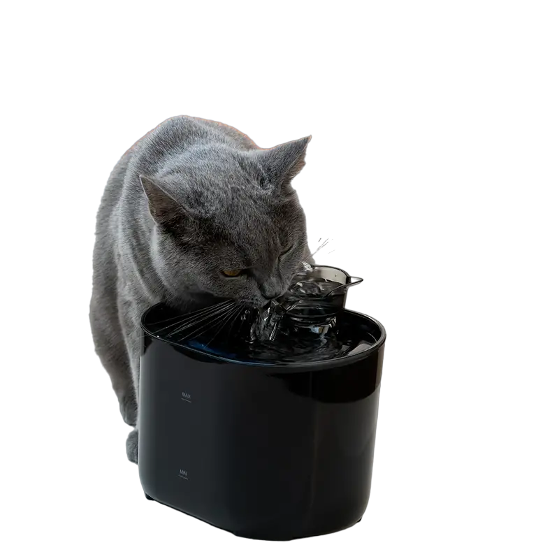 Smart USB-Powered 2.2L Pet Water Fountain for Cats and Dogs - Black