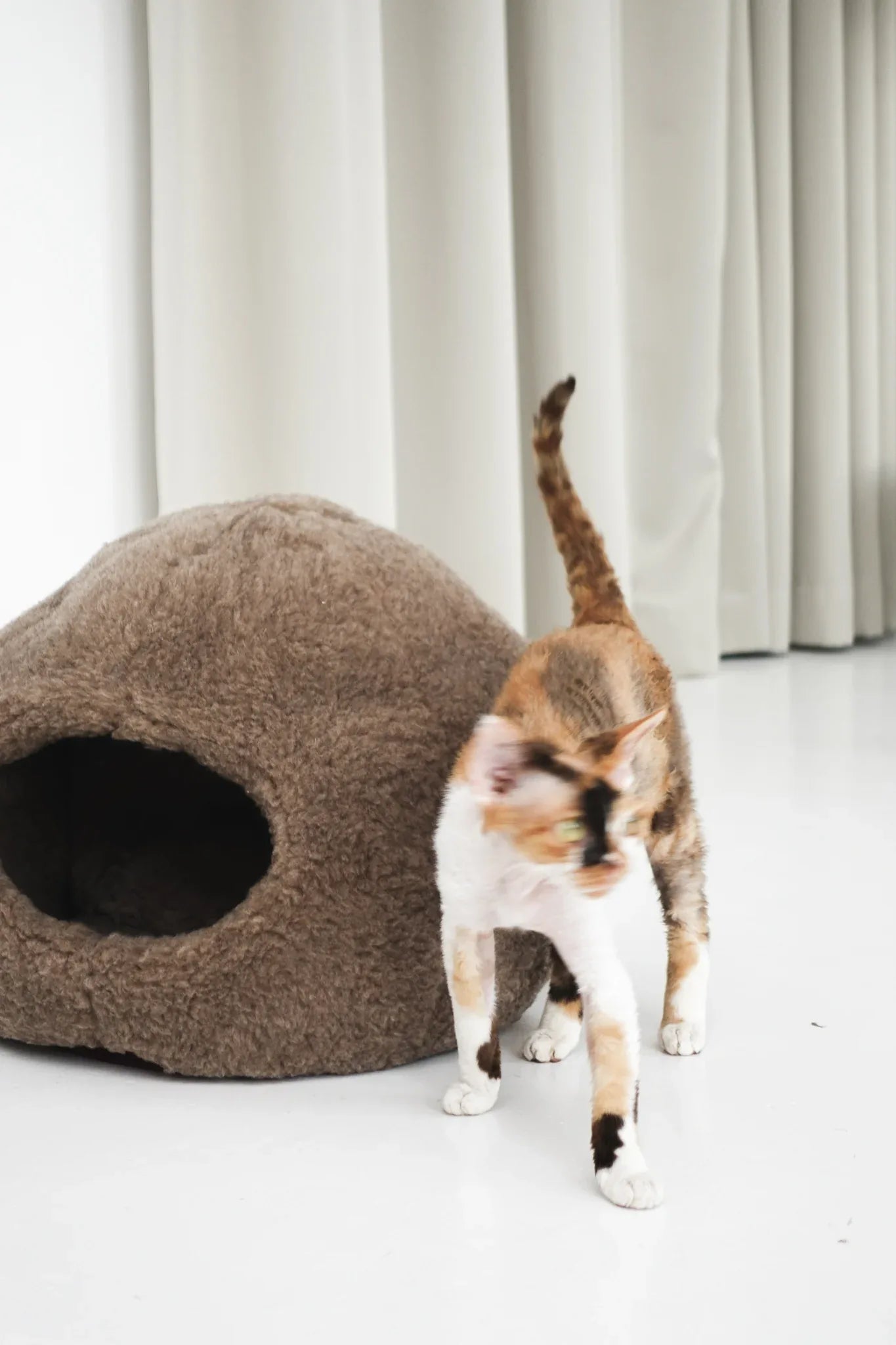 Nest Natural Sheepskin Pet Bed - Beige